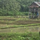 성용농장 이미지