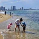 일원본-105 투어코리아