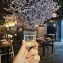 서울 강남 룸술집 갓포 이케멘이자카야, 신선한 사시미의 매력 후기