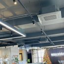 스테이보나 이미지