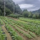 성중농장 이미지