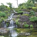 제주유유자적 이미지