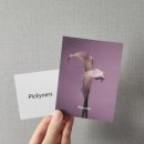 브러쉬오프 | [피키너스] 진정·쿨링·모링가 워시오프 마스크 솔직후기 | 여름 피부 진정팩 추천