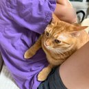 맥시칸금정점 | [일상] 7월말~8월초 - 워킹맘의 여름휴가 주간