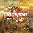 100억짜리 이미지