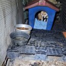 김성문농장 이미지