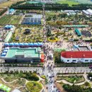 거제시농업개발원 | 거제섬꽃축제 2025 개막식부터 일정/기간/입장료/가는길/주차 국화꽃 향기 가득한 거제 여행