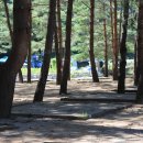 을수민박야영 이미지