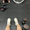 남부순환로317길 33 | 독산동 헬스장 최신식 운동기구 gx 필라테스 후기ㅣ짐베스트