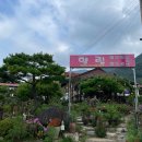 얼음골펜션 | 밀양 얼음골 계곡 근처 펜션 추천!! 향림펜션 &amp; 캠핑장 내돈내산, 솔직후기