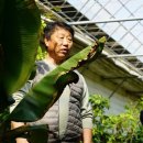 자립농장 이미지