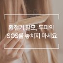 신호프라자 | [웰킨 분당 서현점] 환절기 탈모, 두피가 보내는 신호를 놓치지 마세요