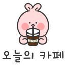 빙고 애견카페 네이버블로그