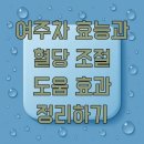 풍년농약식물병원 | 여주차 효능과 혈당 조절 도움 효과 정리하기