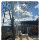 자연속의흙집 이미지