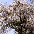 김종필농장 이미지