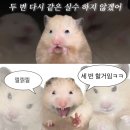 녹사평대로40길 이미지