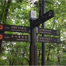 동작충효길 6코스 동작마루길 이미지