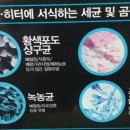 주흘마을