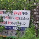 여주 블루마린 오토캠핑장 한여름 방문후기