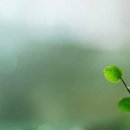 에덴소프트 이미지