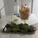 싱글톤 | 하이볼 추천 싱글톤 더프타운12년 시음 후기