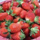 들길농장2 이미지