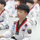 라이온태권도 이미지