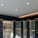 플러스펫 이미지