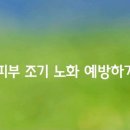 피부 조기 노화를 예방하기 이미지