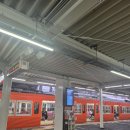 볏짚공예 | [동물원] 10주년 기념일본 소도시 마쓰야마 여행 기록 -산책패스, 우치코, 은인의 타코야끼