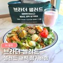 (주)웰리브 다정도시락 | 청주샐러드새벽배송｜브라더샐러드 미트볼샐러드 딸기요거트 솔직 후기