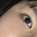 그린룸 | 선릉속눈썹 마스카라연장 잘하는 곳 그린룸 후기