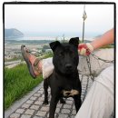 겔베하우스 이미지