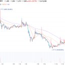 대정 헬스케어 이미지