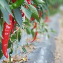 순창고등학교 이미지