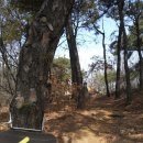 개화산 약사사 삼거리 이미지