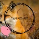 여우커뮤니케이션
