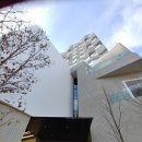 영순세탁소 | 후기)맛있는 만두 만드는 법