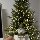 신흥빌딩 | [성남/신흥] 성남 강아지 케이크 멍그랑 후기(강아지 크리스마스 케이크, 강아지 주문제작 케이크)