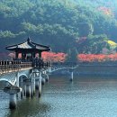 경북 안동 월령교 -사진명소, 주변코스, 꿀팁