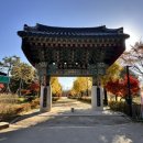 스테이조제 | [여주신륵사] 경기도 가을 사찰여행, 대한불교 조계종 천년고찰 여주 신륵사 추천