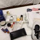 6083 | [25.03 소비] 면세점 구매템 ‘산드로 6083’ 선글라스 추천 후기! (착용샷 O)