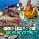 방카센타 | 보홀 자유여행 발리카삭 호핑투어 놀다보홀 YZ호핑 재방문 한 이유