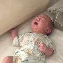 (주)원더케어 | 요니의 1월 일상 (2) - 원더윅스,, 그게 뭔데..