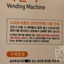 동송이불