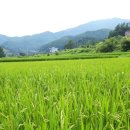 도그엔조이 이미지