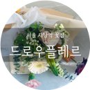 드로우플레르