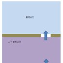 길주로411번길 이미지