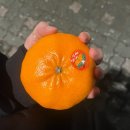 뉴행운PC방 | 오렌지